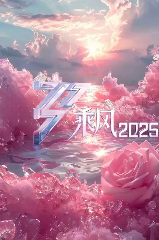 🖼名称：乘风2025（2025）[1080P][国语中字][更至20250509第八期] 影视动漫