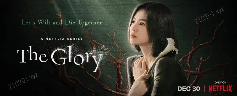 🖼📚名称：《[黑暗荣耀S01-S02][2022-2023][全集][韩剧]》 影视动漫